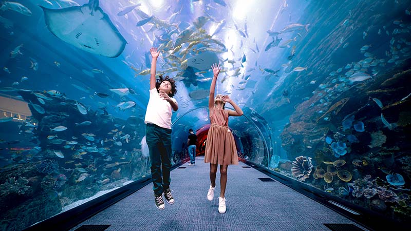 Visitors at Emaar oceanarium
